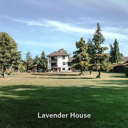 Apartman Lavender House Osieki