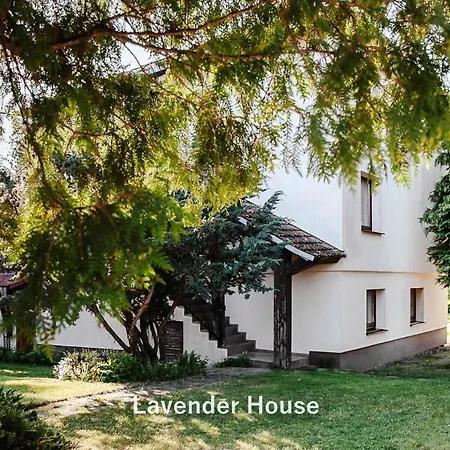 Lavender House * Osieki (Koszalin)