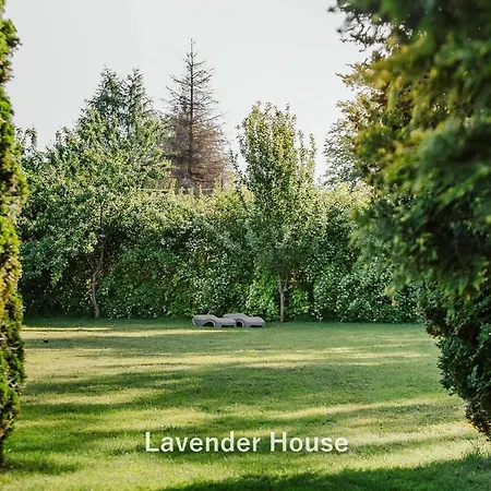 Apartman Lavender House