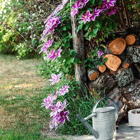 Lavender House Apartamento