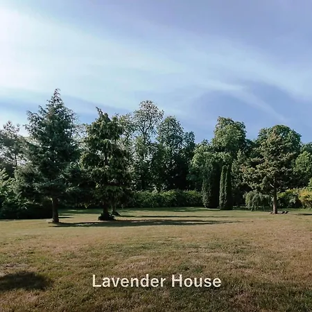 Lavender House Apartman *