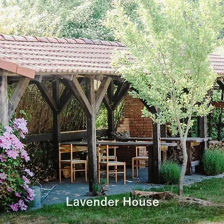 Lavender House