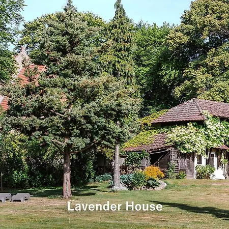 Lavender House Osieki