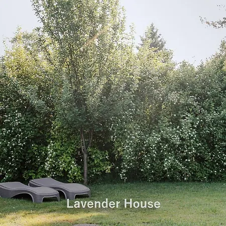 Lavender House Osieki (Koszalin)