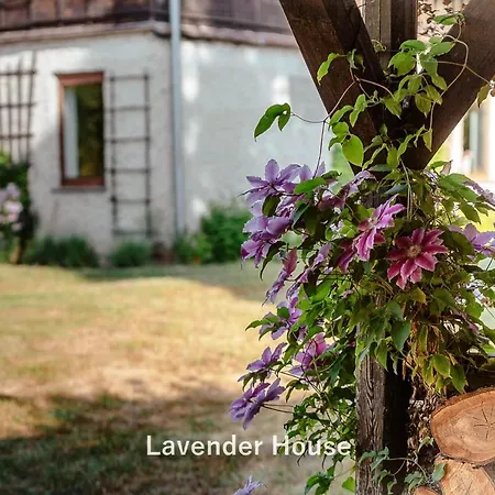 Lavender House * Osieki (Koszalin)