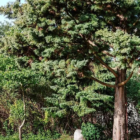 Lavender House Apartamento *