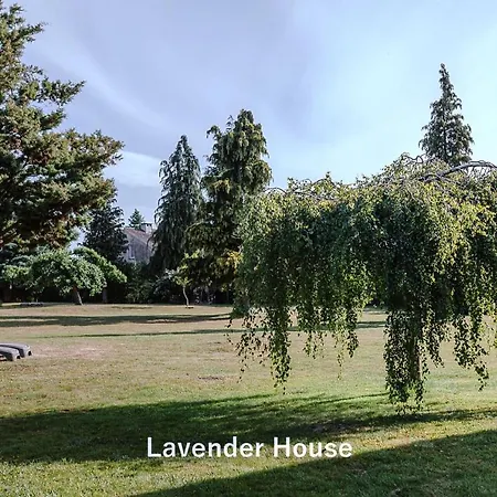 Apartman Lavender House Osieki