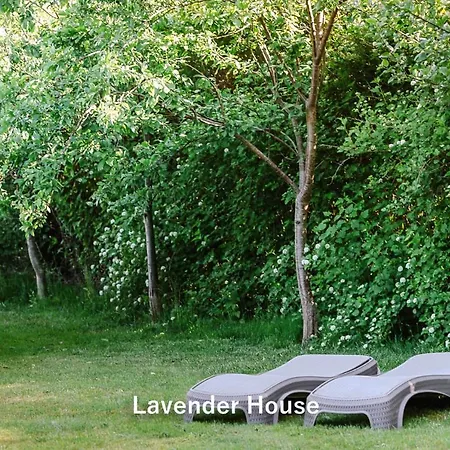 Lavender House *