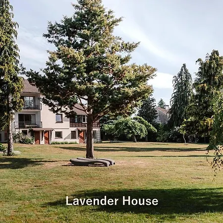 Lavender House Apartman Osieki