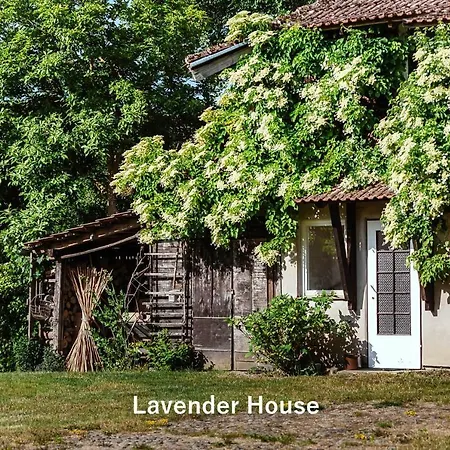 Lavender House Apartman Osieki