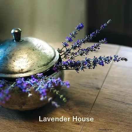 Lavender House Apartamento Osieki (Koszalin)