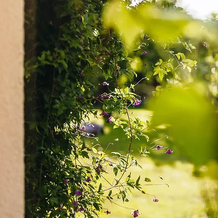 Lavender House Osieki (Koszalin)