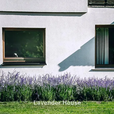 Lavender House