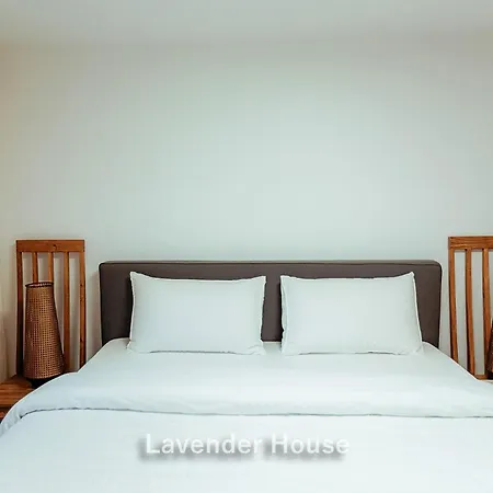 Apartamento Lavender House Osieki (Koszalin)