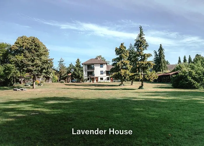 Apartment Lavender House Osieki (Koszalin)