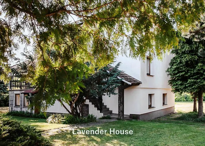 Lavender House * Osieki (Koszalin)