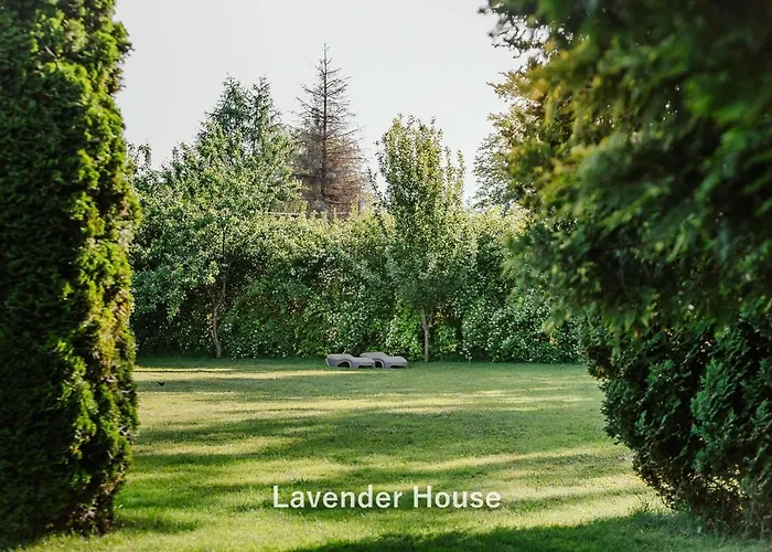 Apartment Lavender House