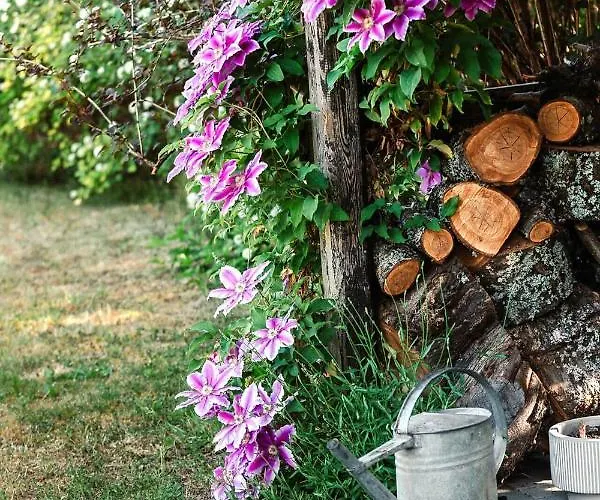 Lavender House Apartment