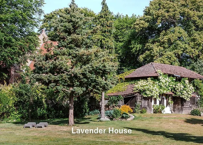 Lavender House Osieki (Koszalin)