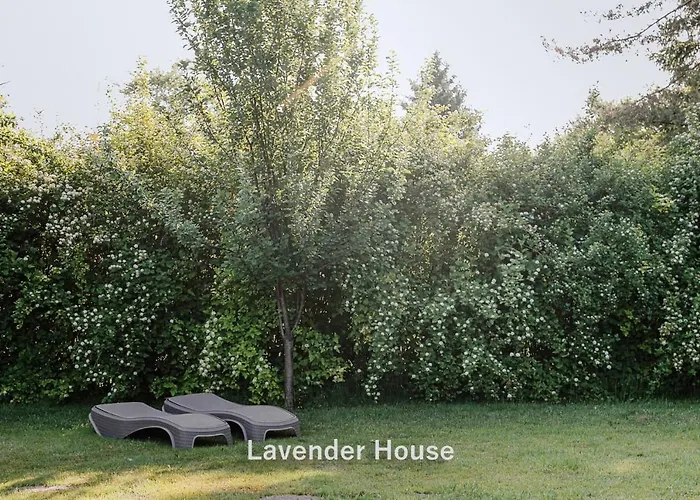 Lavender House Osieki (Koszalin)