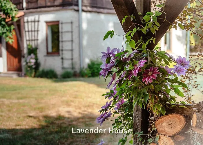 Lavender House * Osieki (Koszalin)