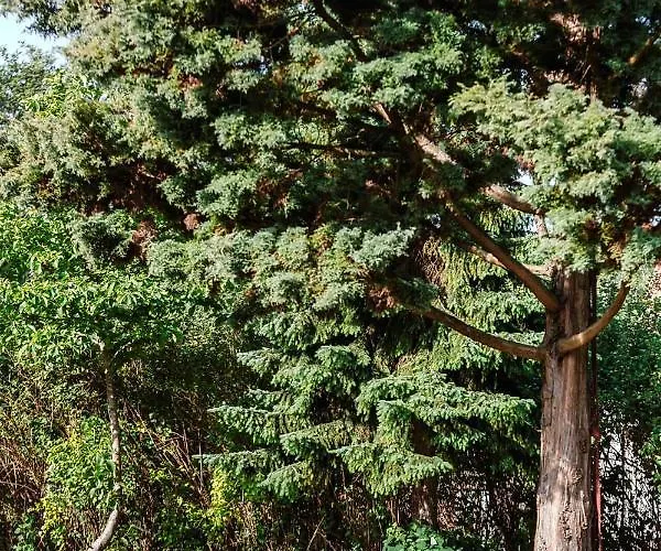 Lavender House Apartment *