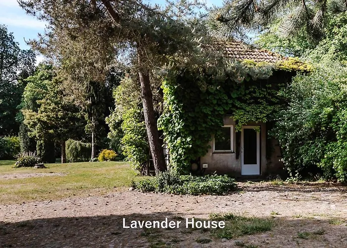 Lavender House