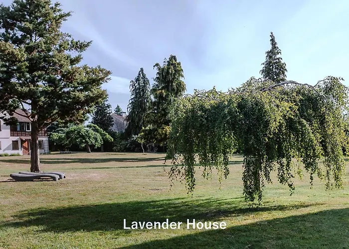 Apartment Lavender House Osieki (Koszalin)