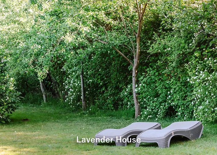 Lavender House *