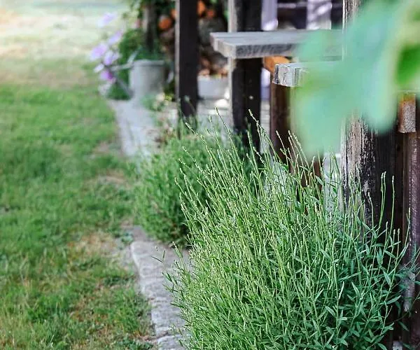 Lavender House Osieki (Koszalin)