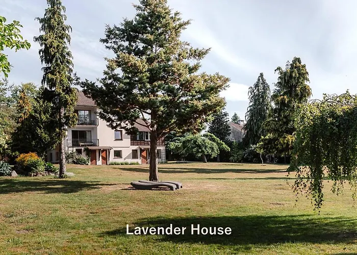 Lavender House Apartment Osieki (Koszalin)