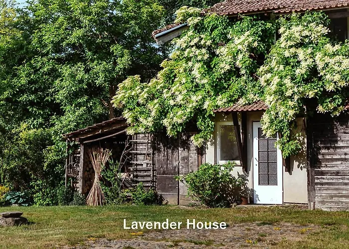 Lavender House Apartment Osieki (Koszalin)