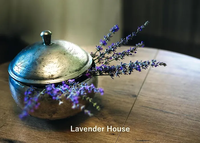 Lavender House Apartment Osieki (Koszalin)