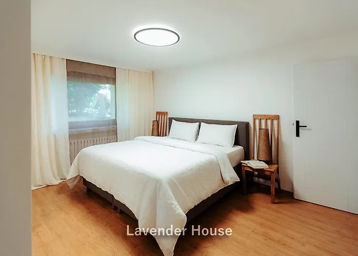 Apartment Lavender House