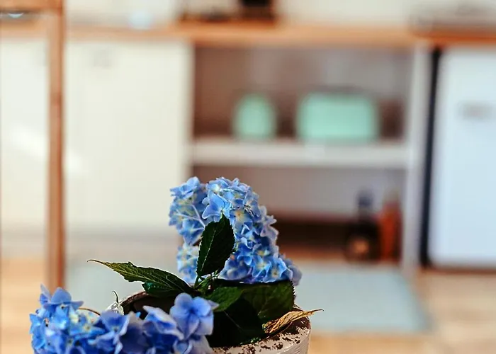 Lavender House Apartment *