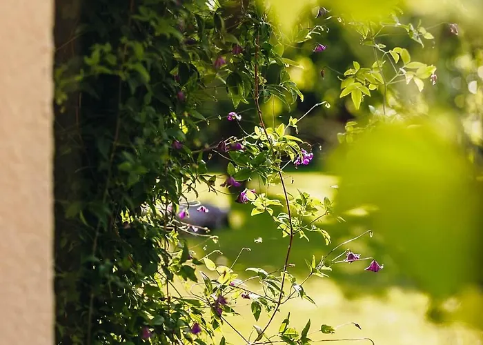 Lavender House Osieki (Koszalin)