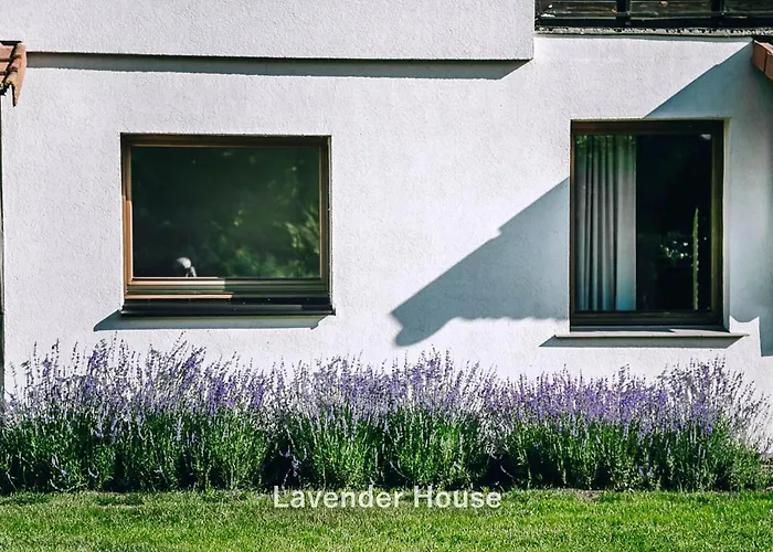 Lavender House